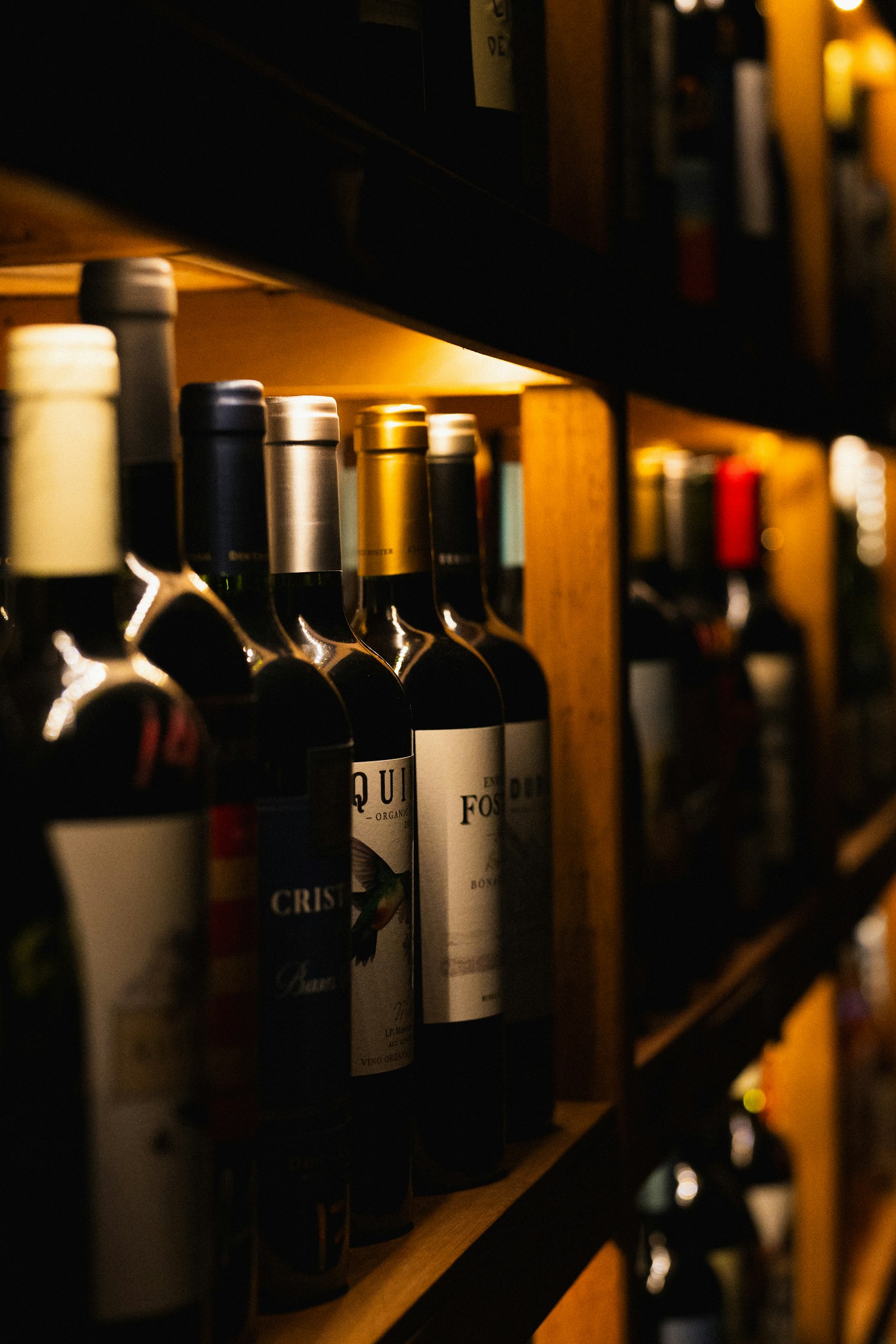 Garrafas de vinho organizadas na prateleira de uma adega